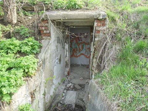 Foto 14
